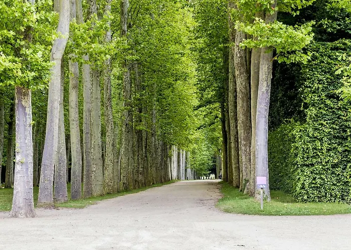 Les Petits * Versailles